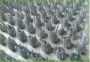 Коврик травка 60х90 серый