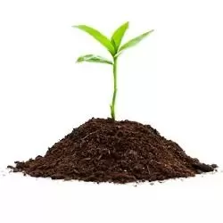 Удобрения, грунты